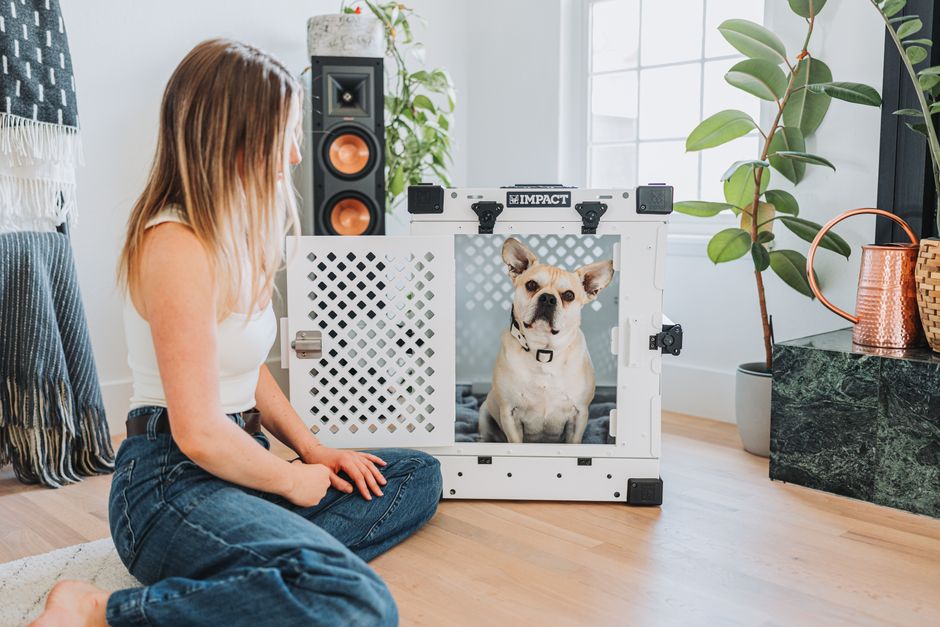 How Crate Training Solves Puppy Housebreaking and Separation Anxiety Young woman sitting on floor near dog in an Impact dog crate, in a modern family home.