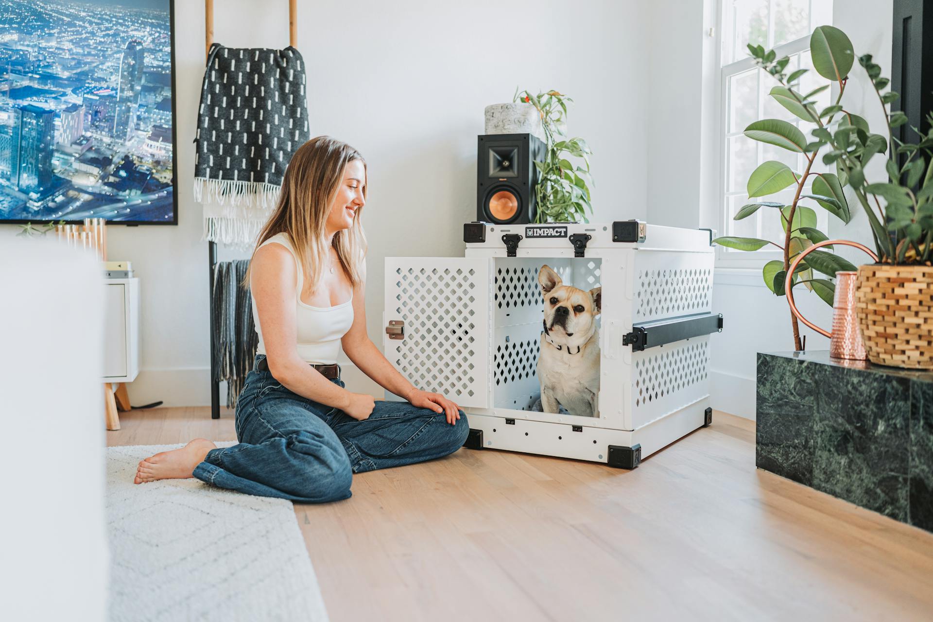 Impact Dog Crates Home Lifestyle with Girl and Frenchie