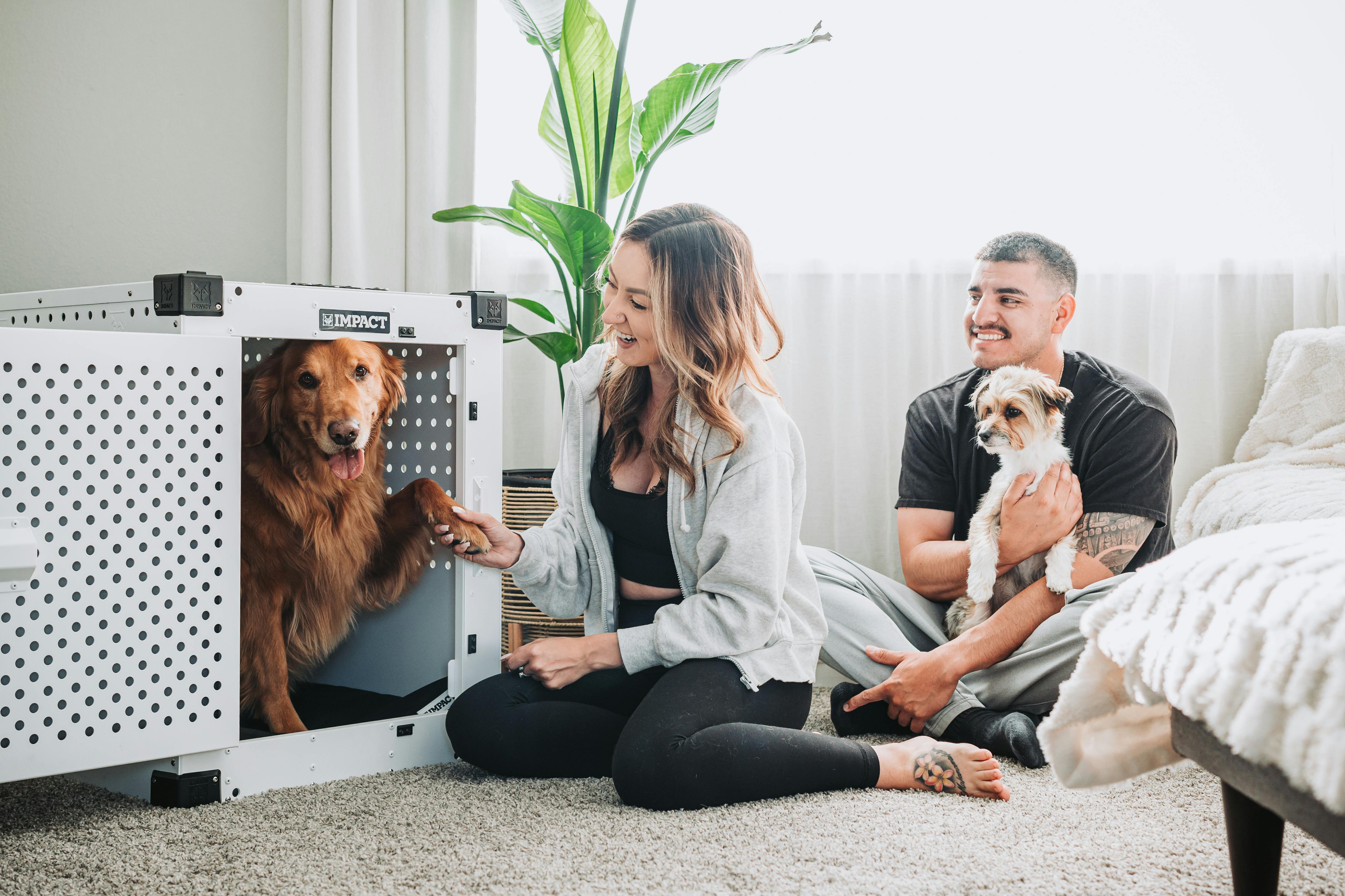 Young couple with dogs enjoying a cozy moment in their modern living room with a dog crate.