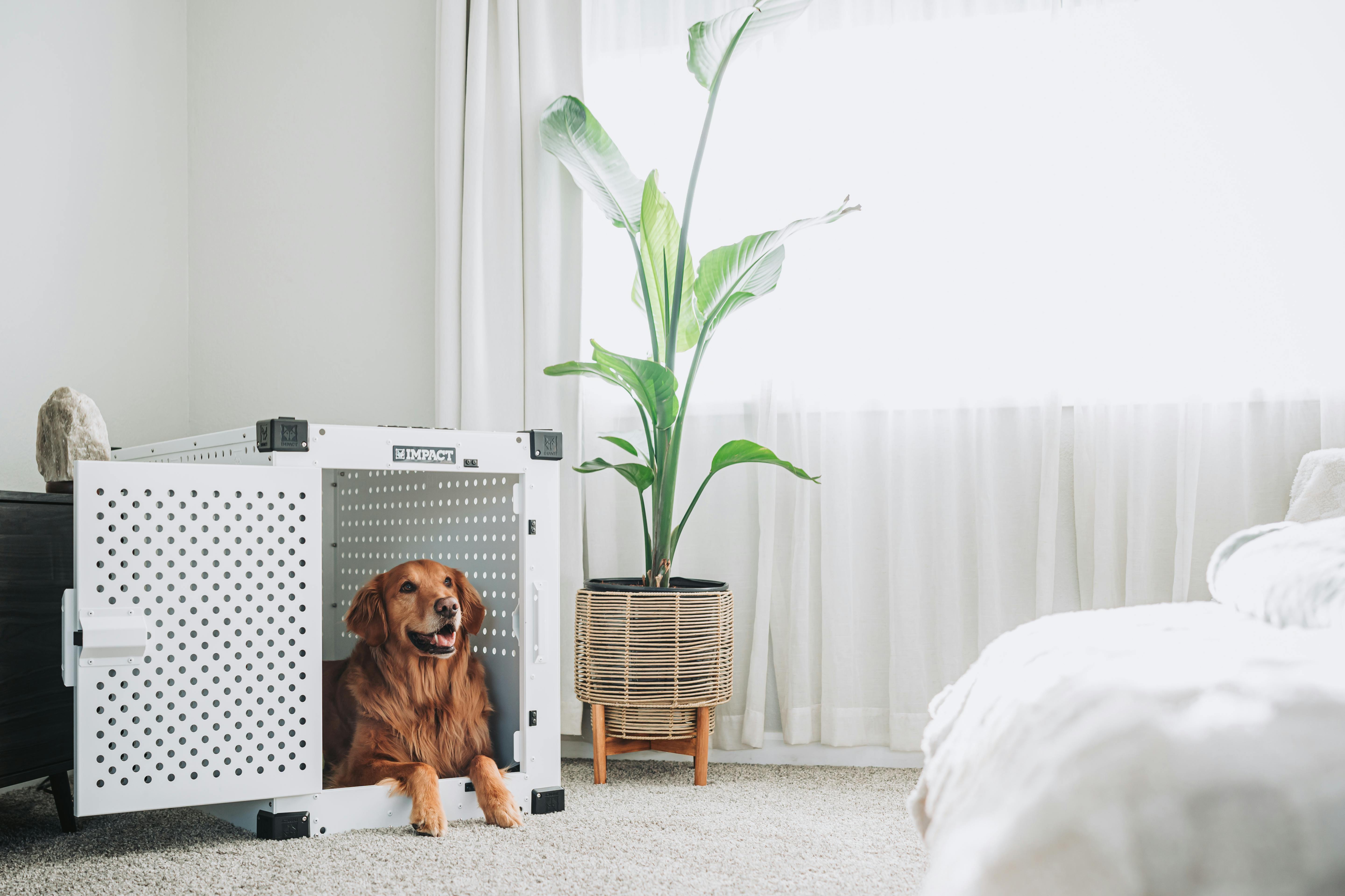 Walmart is selling a 'sturdy' L-shaped gaming desk for just $76 right now — Photo by Impact Dog Crates on Pexels