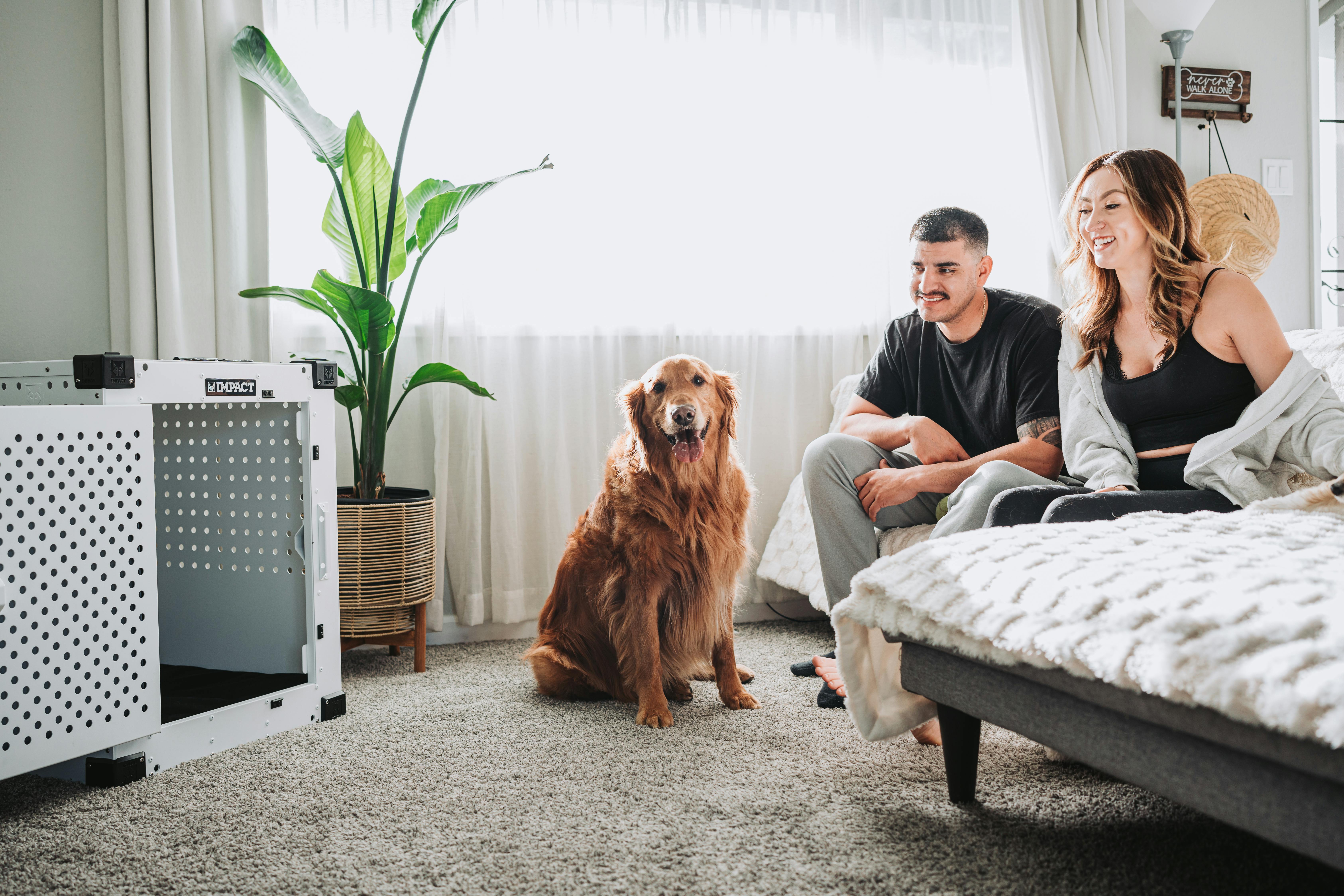 pet technology products — Photo by Impact Dog Crates on Pexels