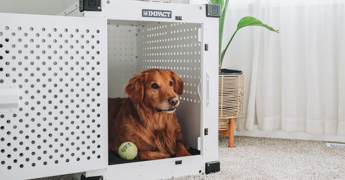 Top 10 Essential Tips for Pet-Friendly Home Design