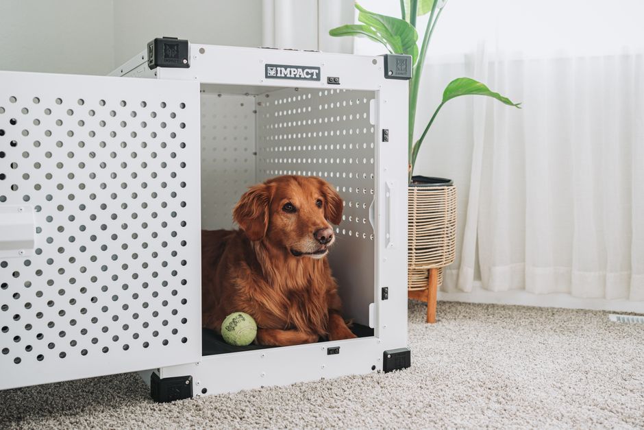 a crate set up correctly with proper sizing for a puppy a crate set up correctly with proper sizing for a puppy