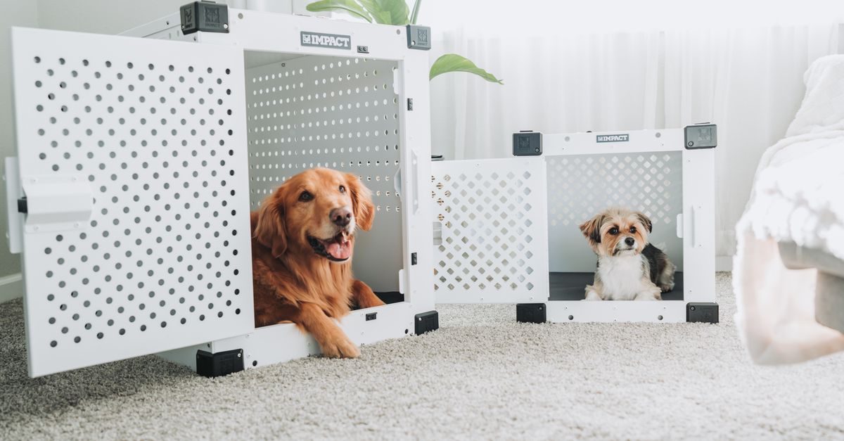Choosing a Dog Crate: The Sizing Mistake That Undermines Crate Training
