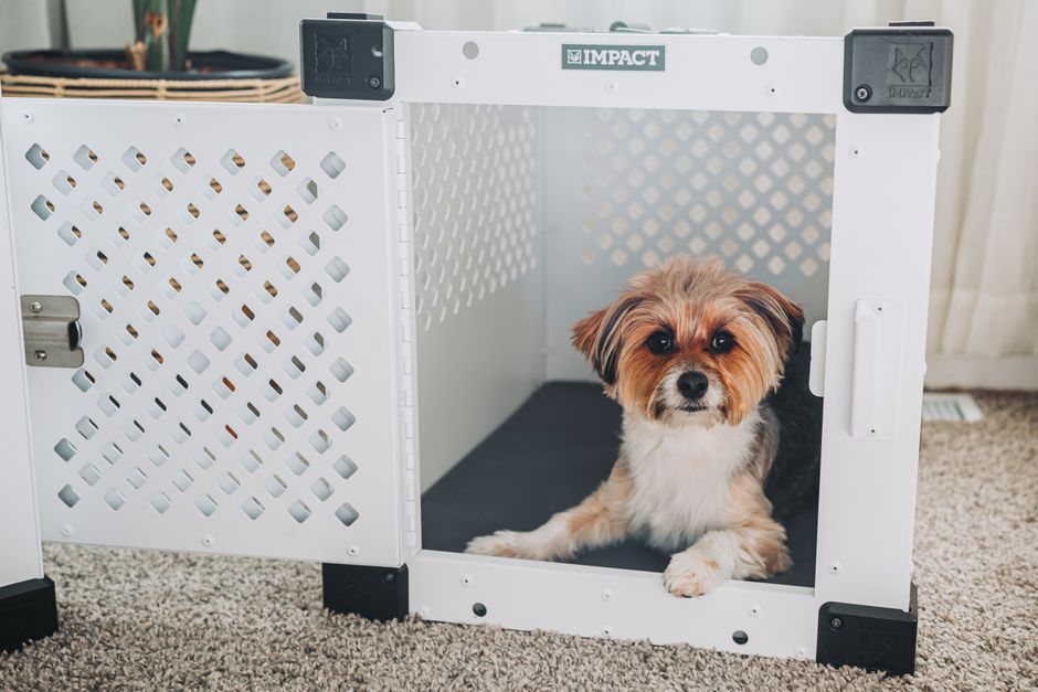 Puppy crate setup showing a safe and comfortable environment Puppy crate setup showing a safe and comfortable environment