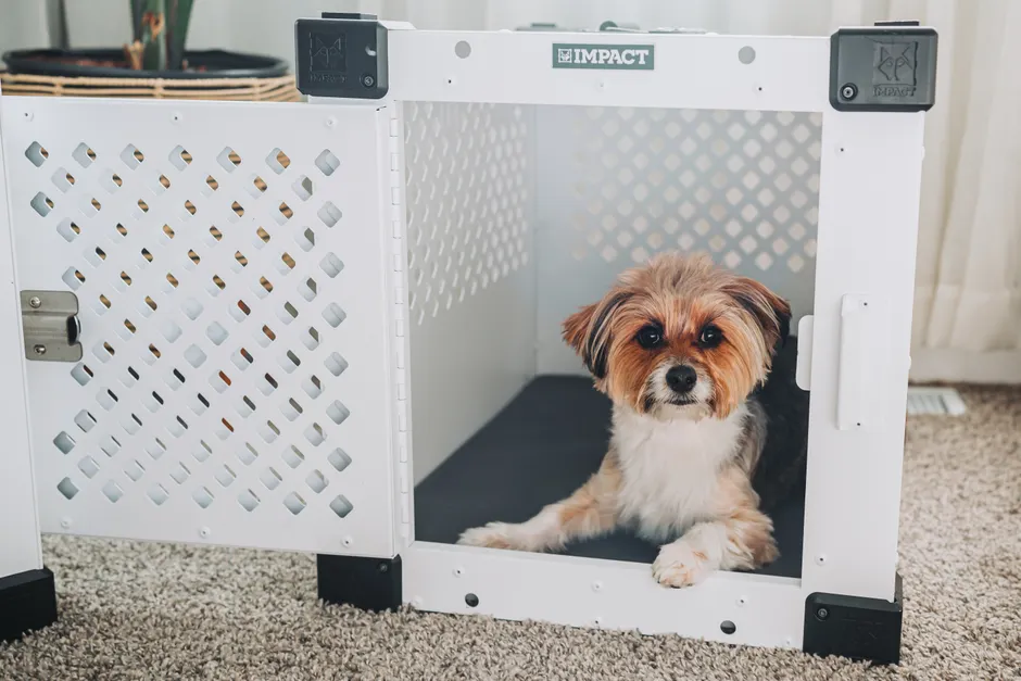 washable crate pads