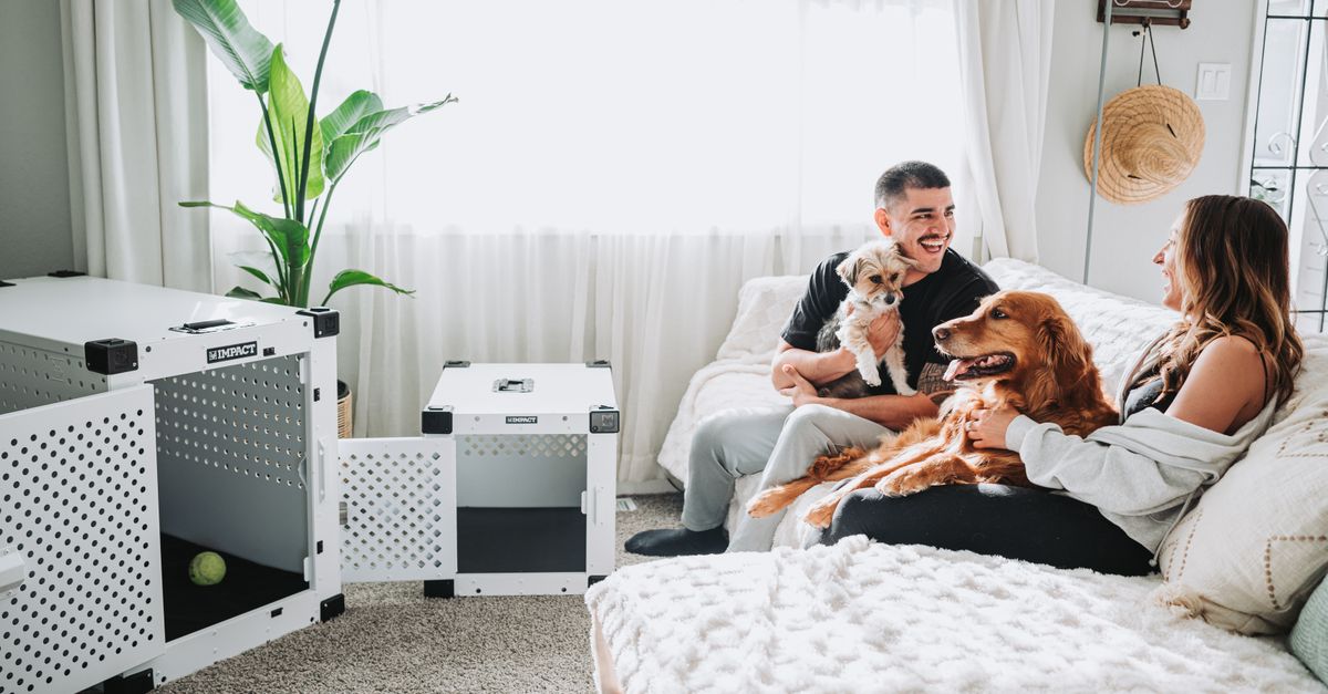 Top 10 Must-Have Products for Pet Owners