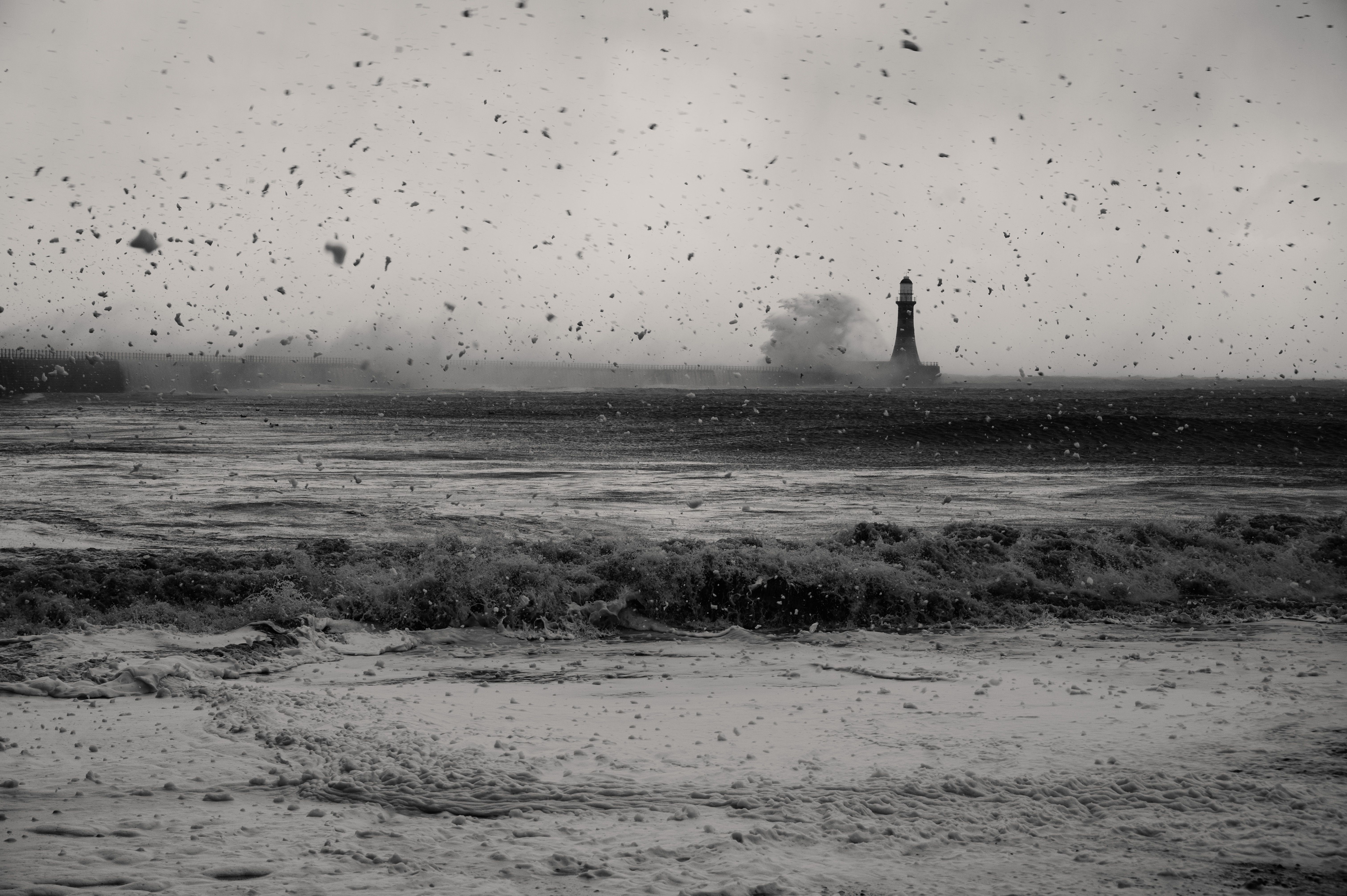Plovan, entre terre et mer : un joyau sauvage du littoral breton à découvrir