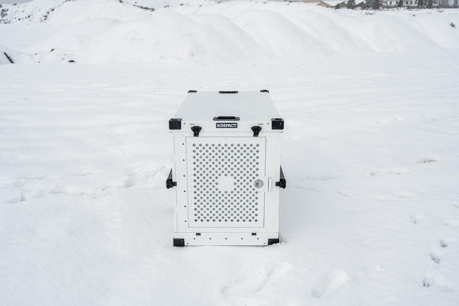 Impact Dog Crates Siberian in Snow with Handsome Male Owner
