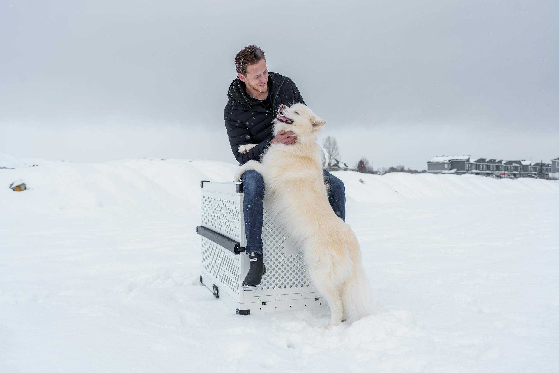 Winter Wonderland: Siberian Husky and Owner with Impact Dog Crate