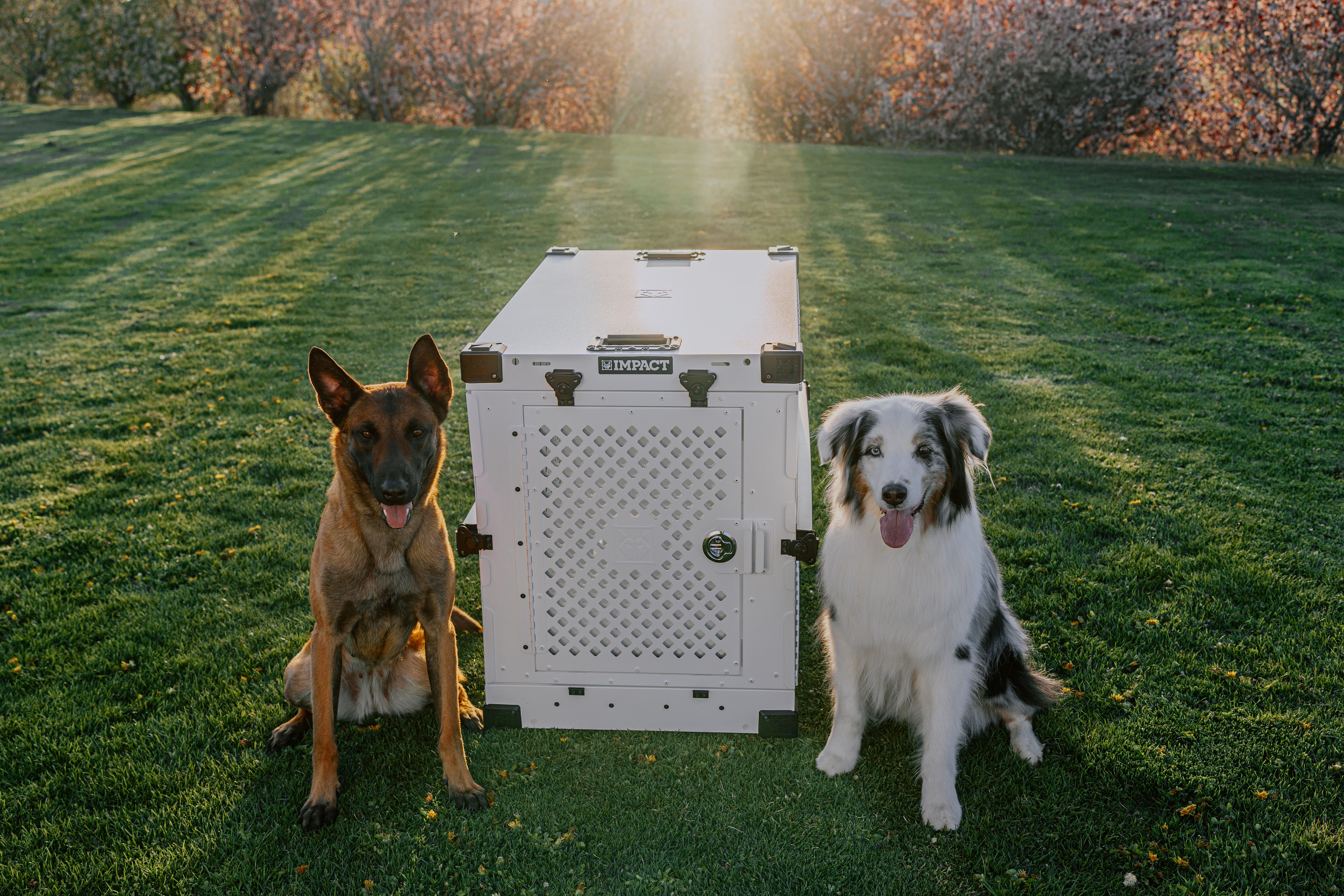 crate training