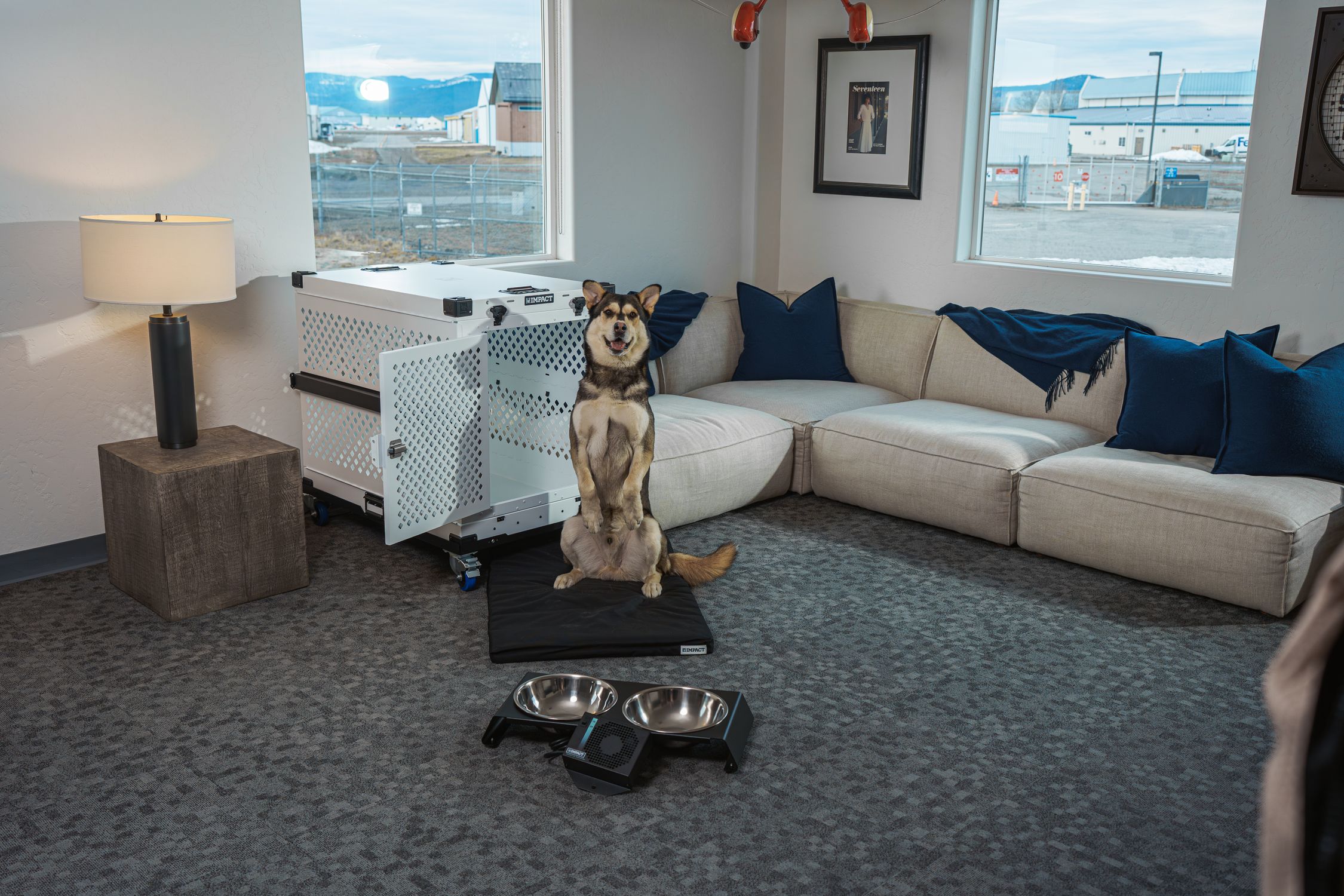 A stylish living room featuring a happy dog, comfortable sofa, and modern aluminum pet crate.
