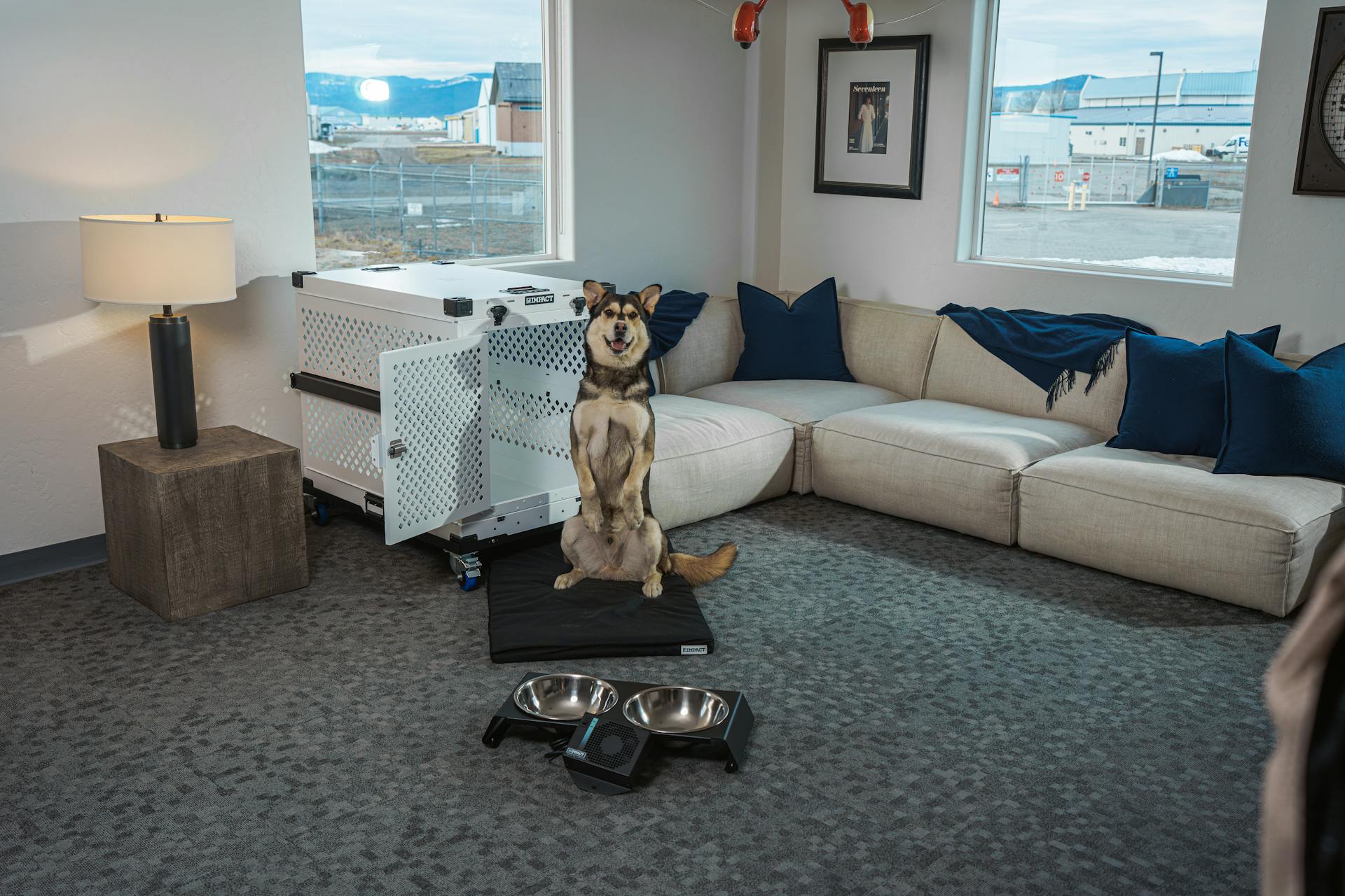 Cozy Home Office Vibes: Impact Dog Crate and Dog with Attractive Couple