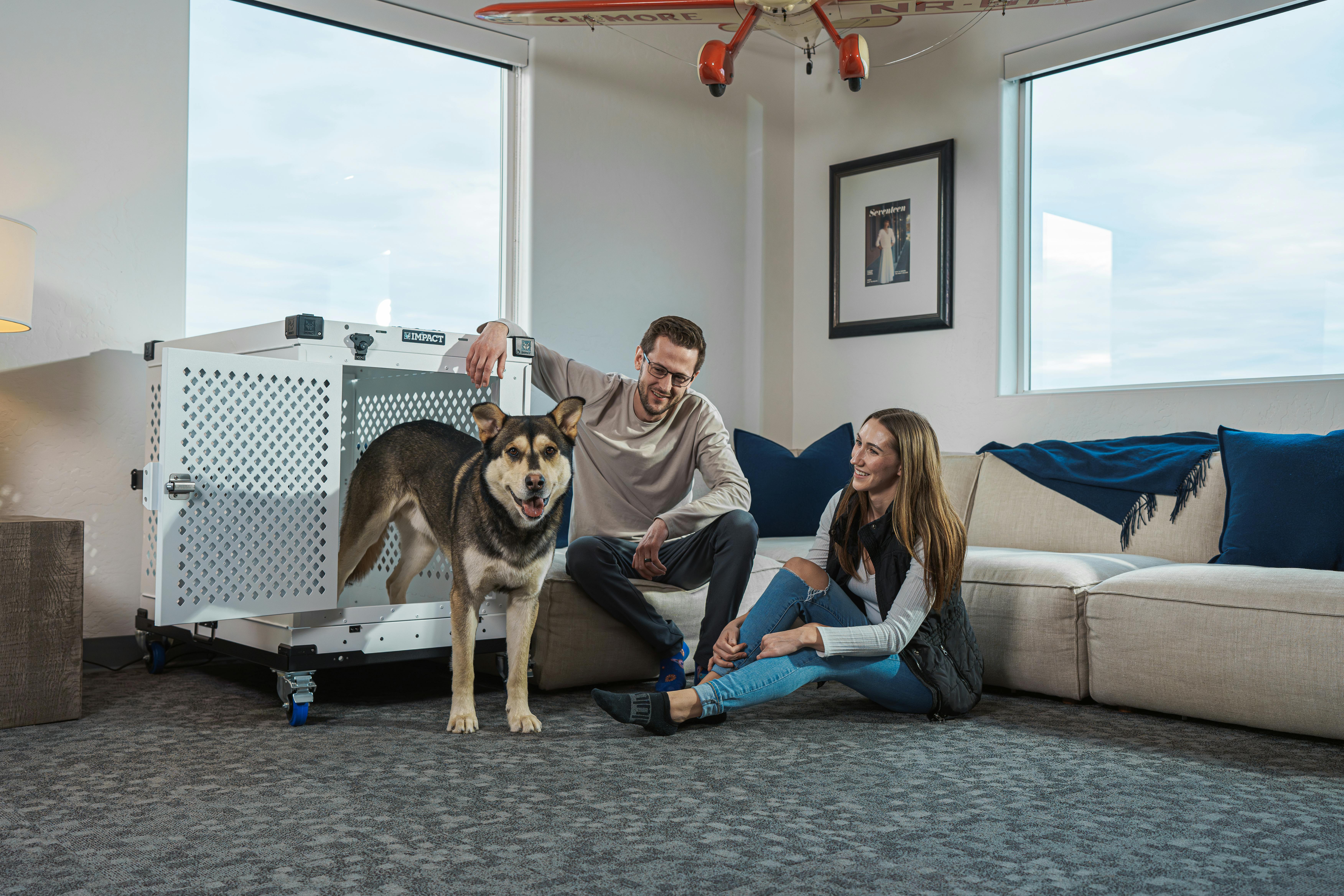 family with a pet in a clean living room, implying safety - plant based antibacterial cleaner