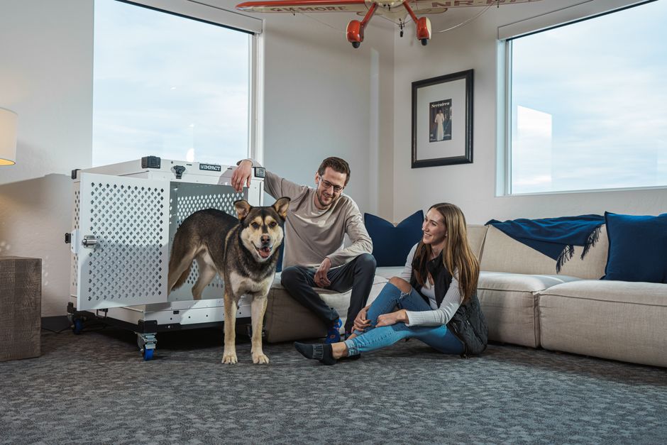 family with a pet in a clean living room, implying safety - plant based antibacterial cleaner family with a pet in a clean living room, implying safety - plant based antibacterial cleaner
