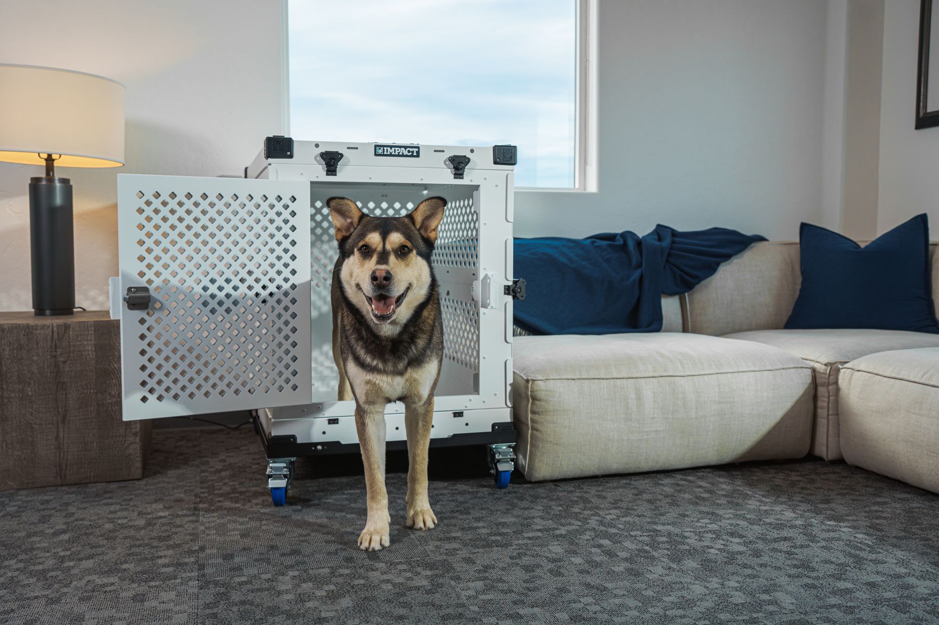 Best MidWest Pet Crates (2026)