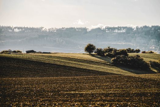 A peaceful countryside view showcasing rolling hills with trees during daytime.