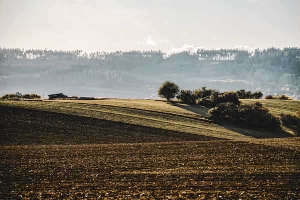 Rolling countryside hills and scattered trees — photo by Karolina on Pexels