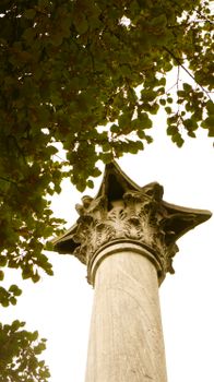Elegant stone column with intricate carvings beneath a lush green tree canopy.