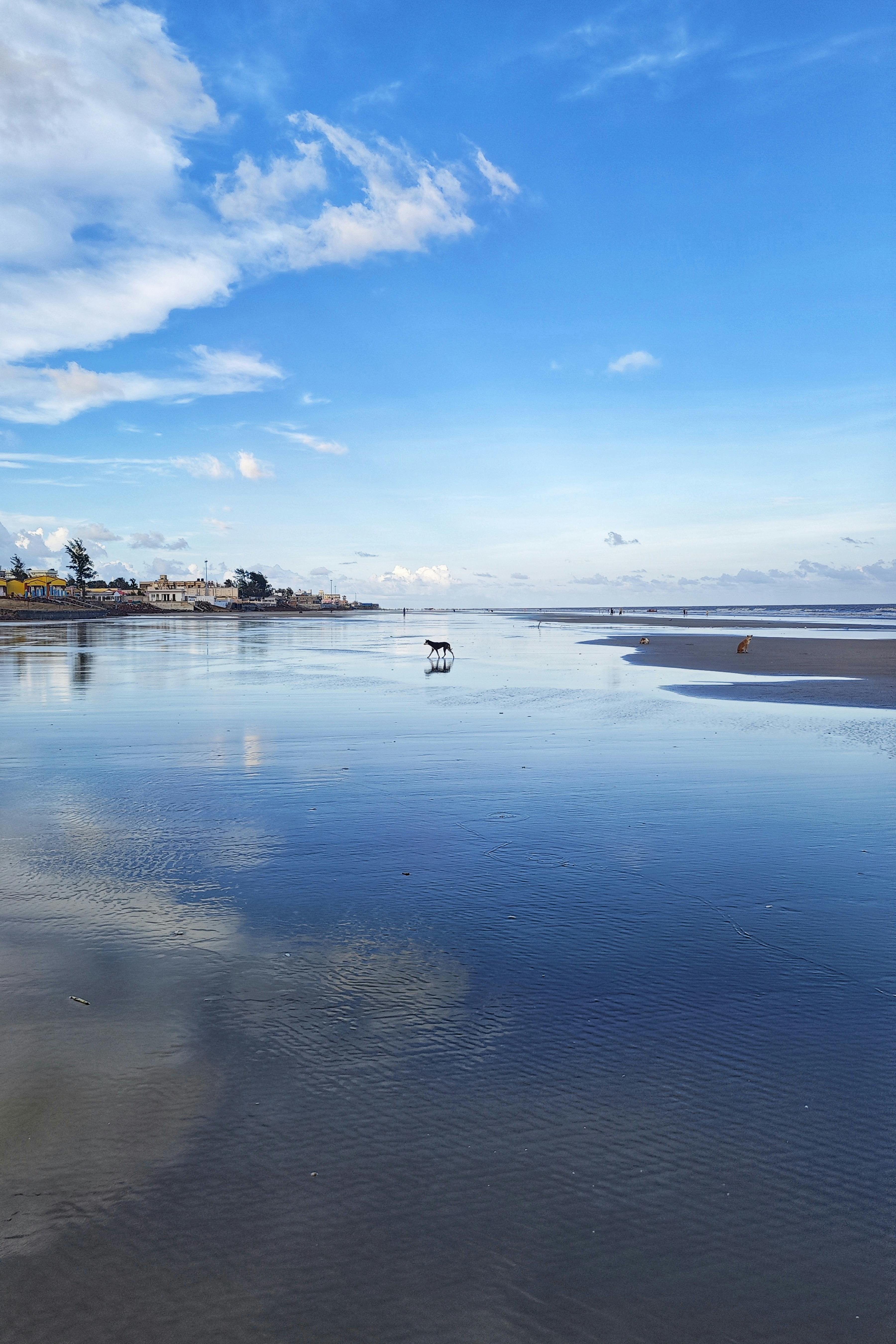 Serene beach view at Mandarmani, India, featuring clear skies and reflective waters.