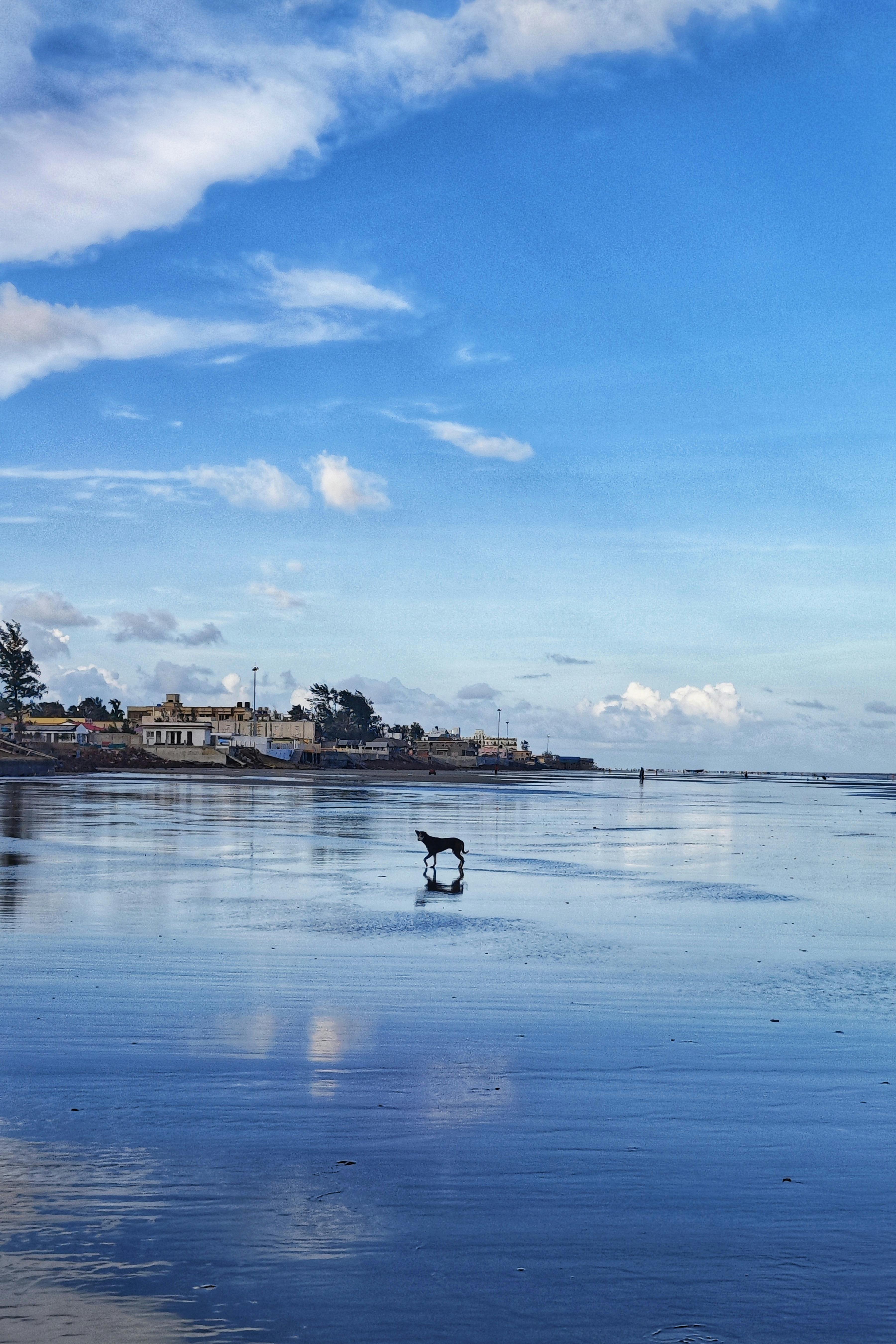 101 Ways To Travel Around The World For Cheap For Free.