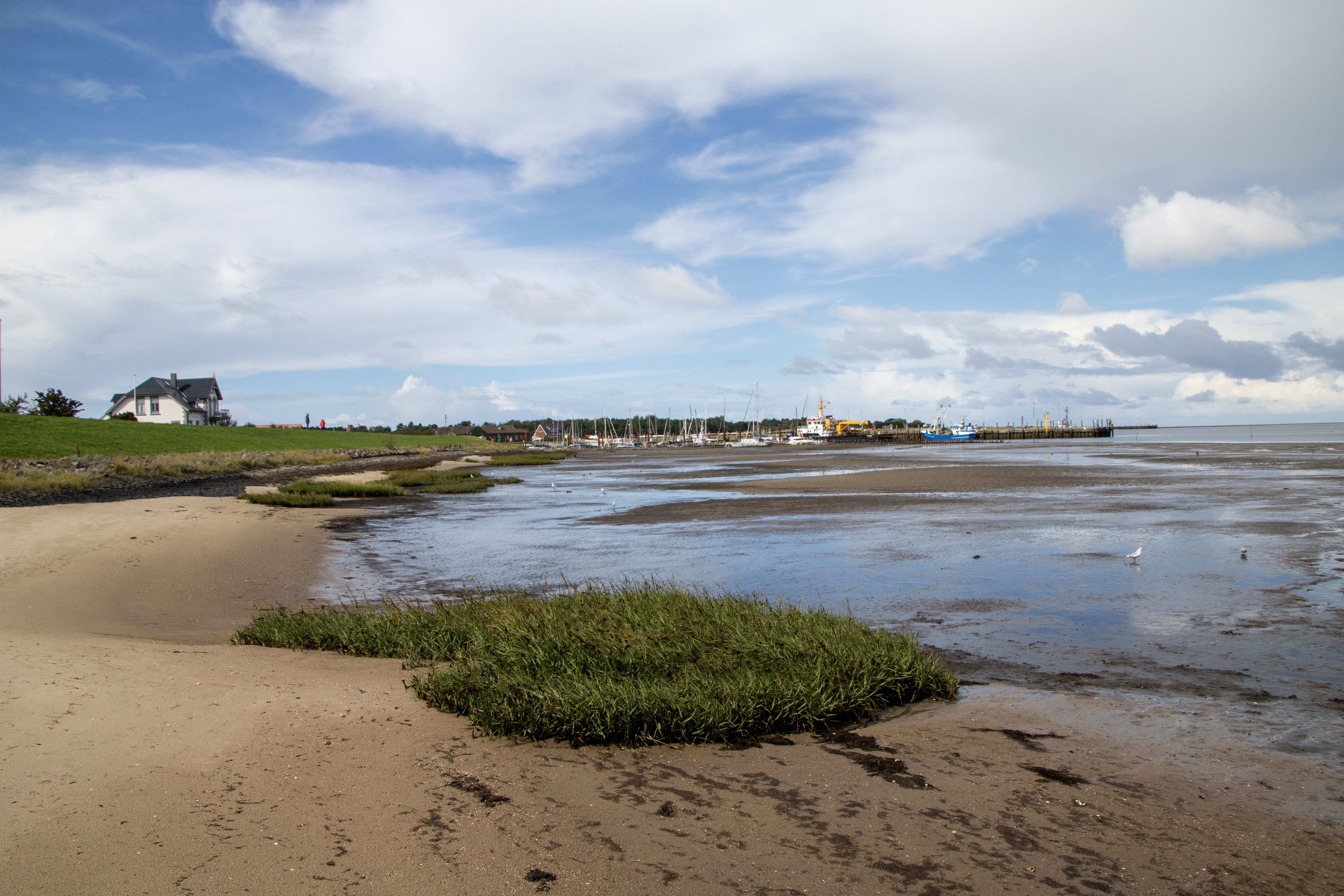 A picturesque low tide scene at the beach in Wittdün, Amrum with marsh grass and distant houses.