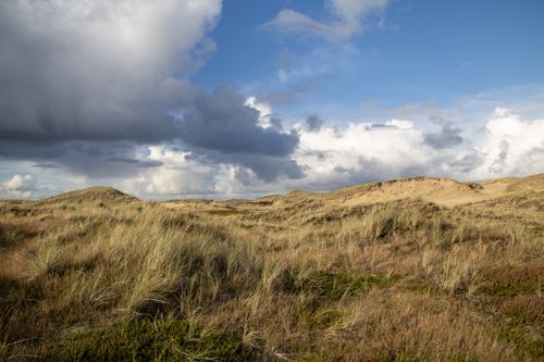 Free Breathtaking view of Amrum's dune landscape under dramatic clouds. Stock Photo