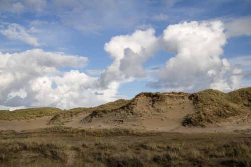 Free Scenic view of Amrum's dune landscape with dramatic clouds in the sky. Stock Photo