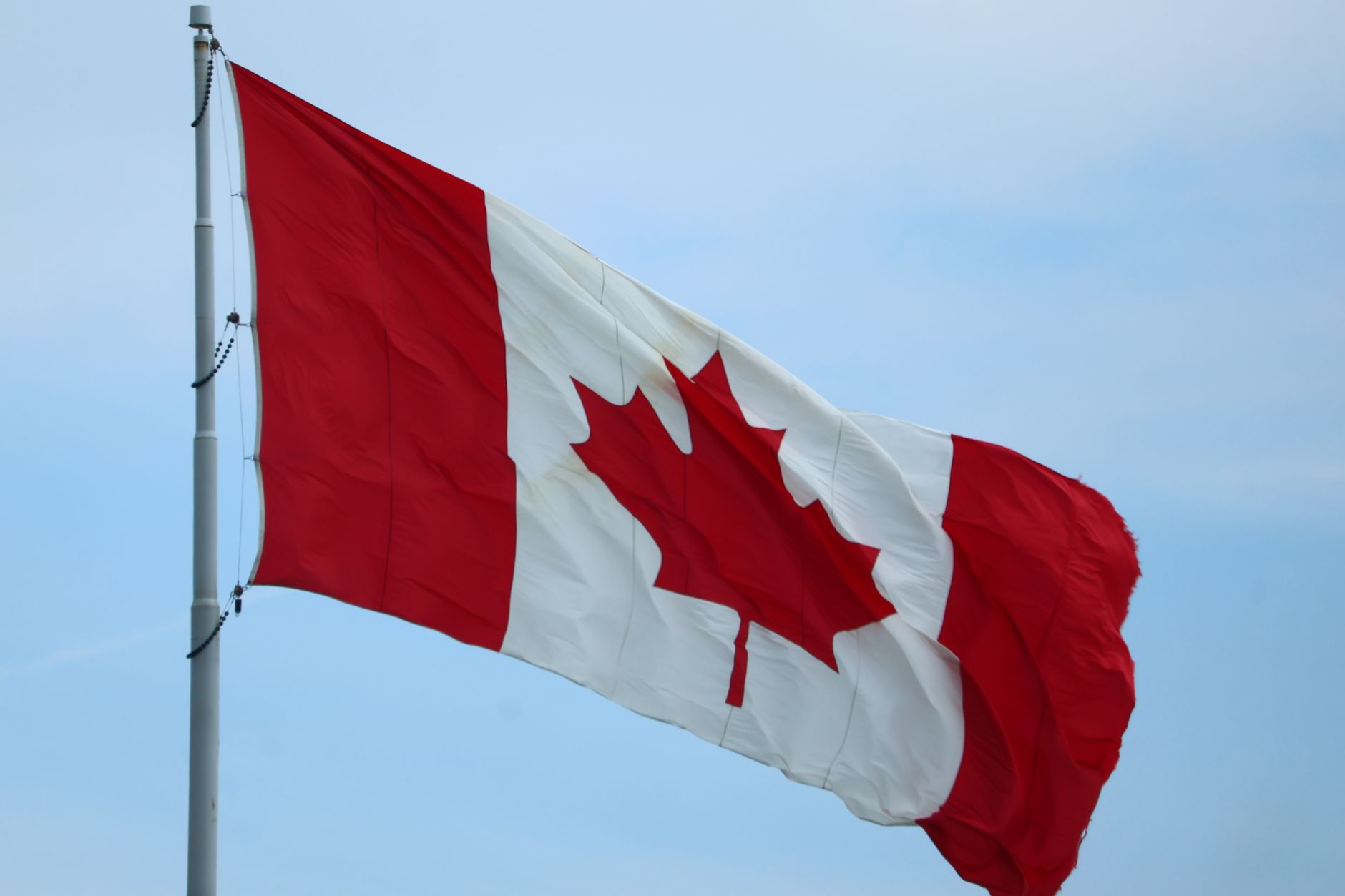 US 50% Tariffs on Canadian Goods Trigger Frustration, Reshaping Trade Investment Landscape