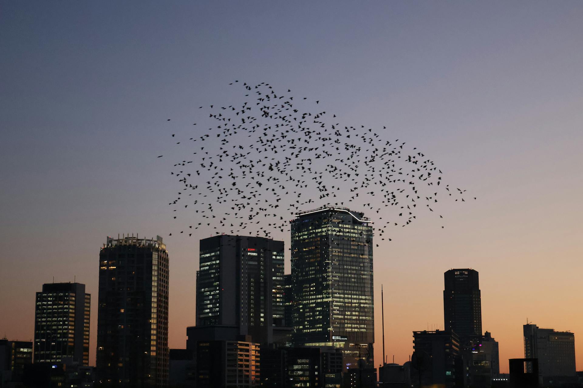 Tokyo