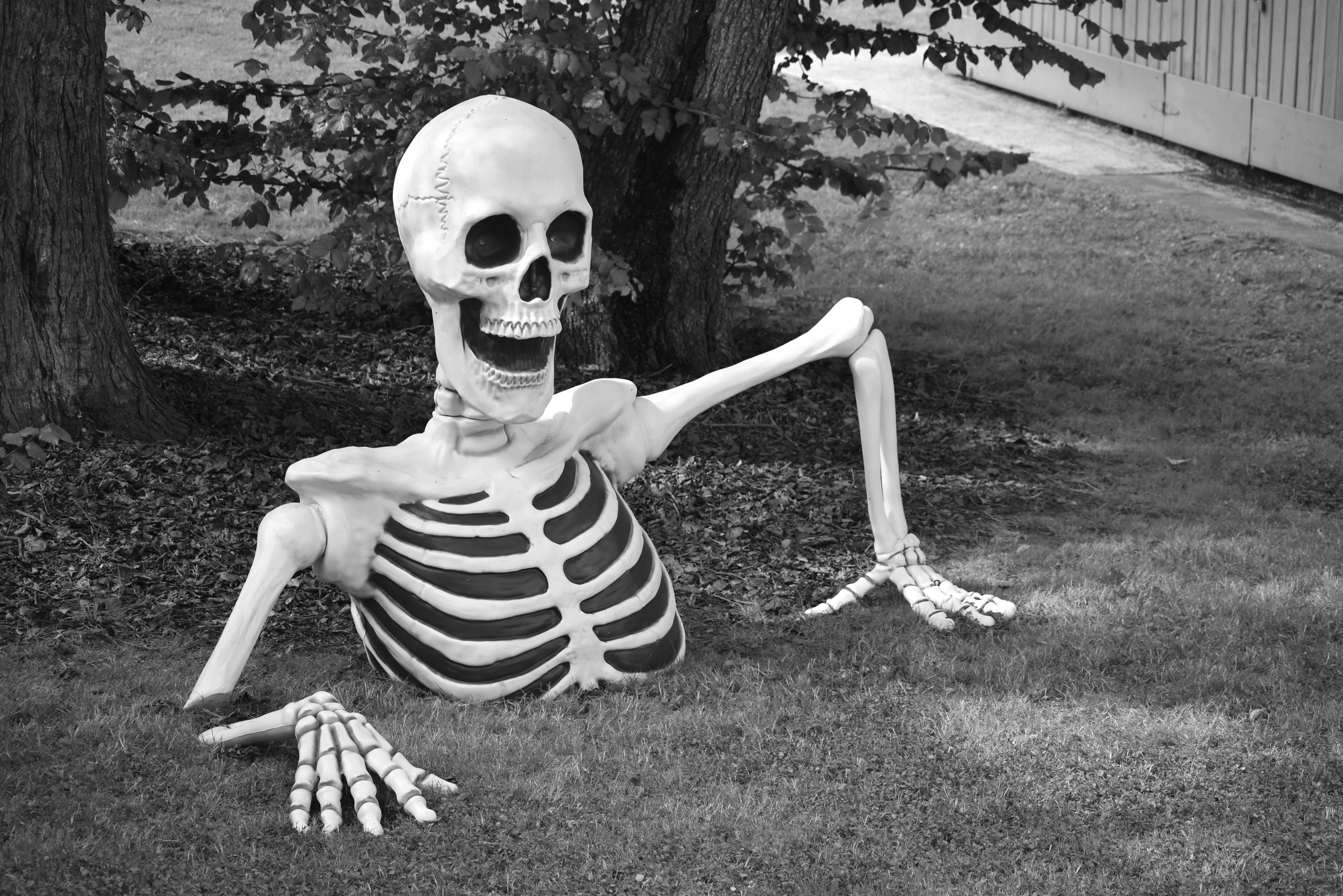 A spooky skeletal decoration emerging from the ground in a garden setting.
