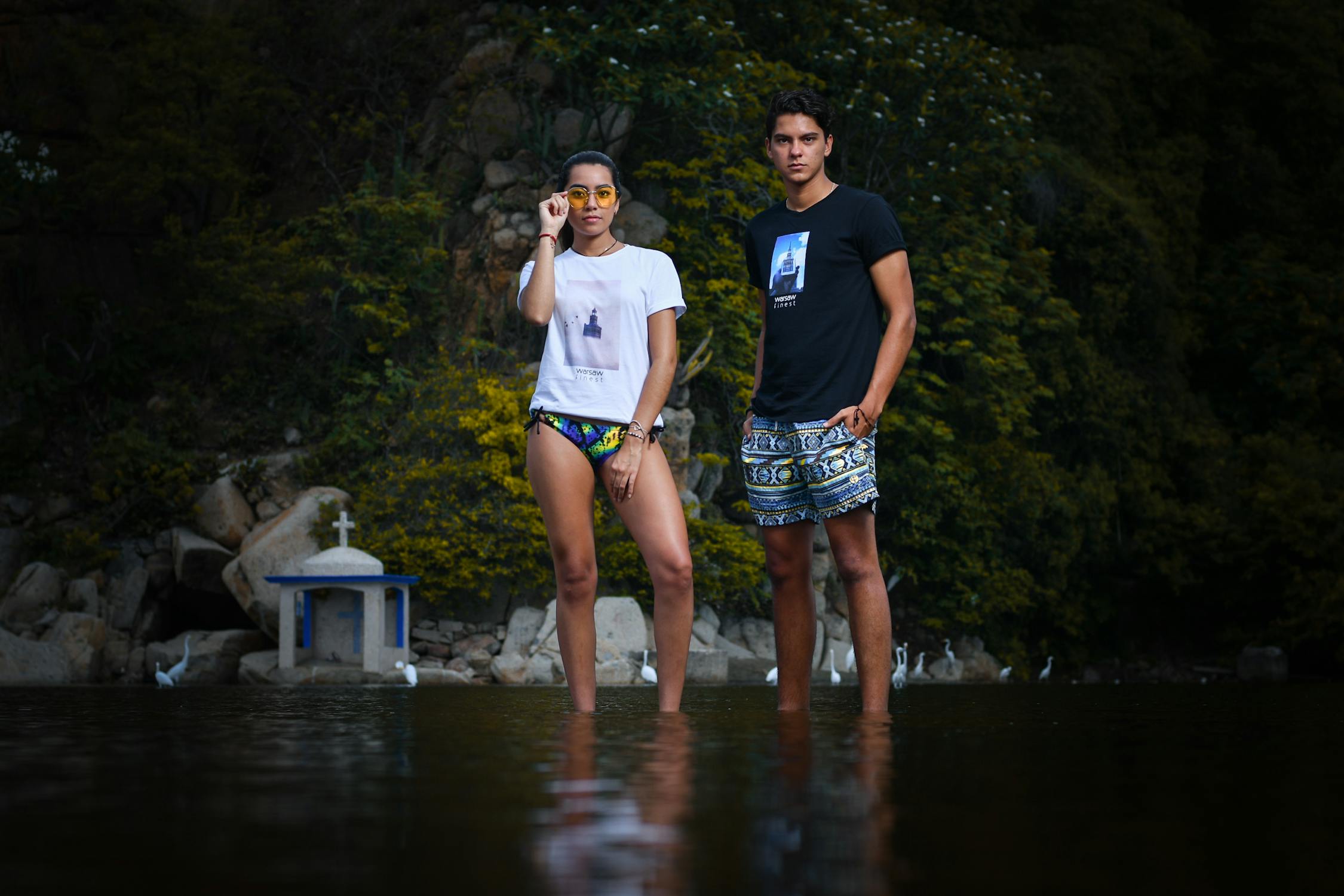 Generate & Visualize