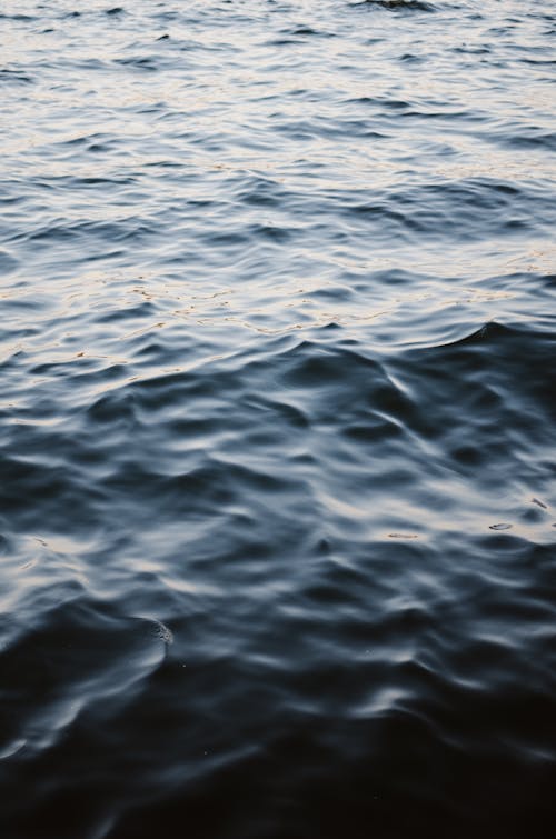 Close-Up Photo Of Body Of Water