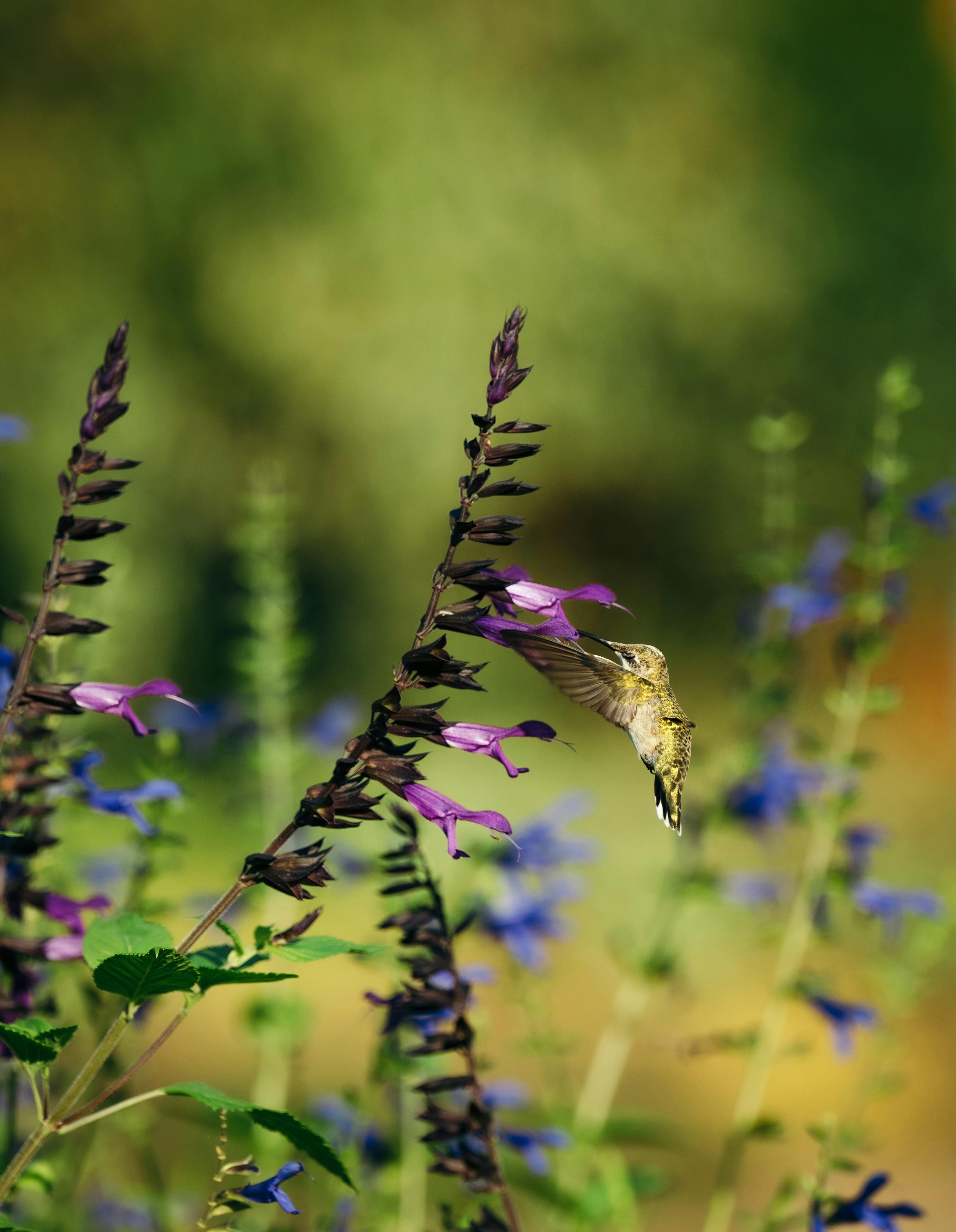 Gartenplanung Anschauliches Beispiel