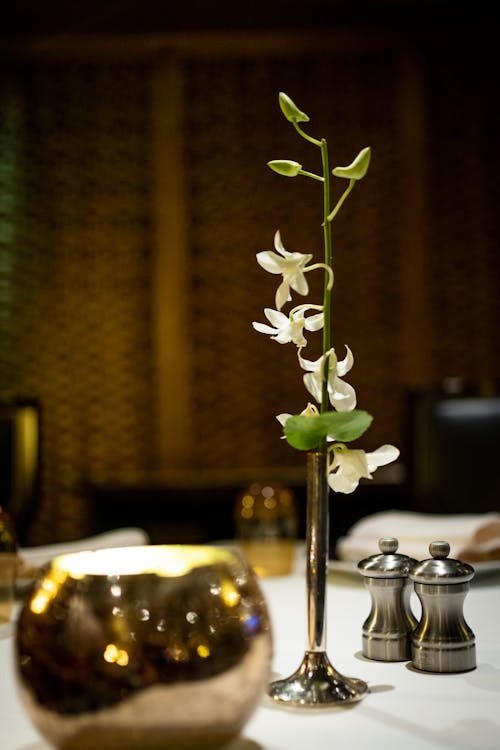 White Petaled Flowers