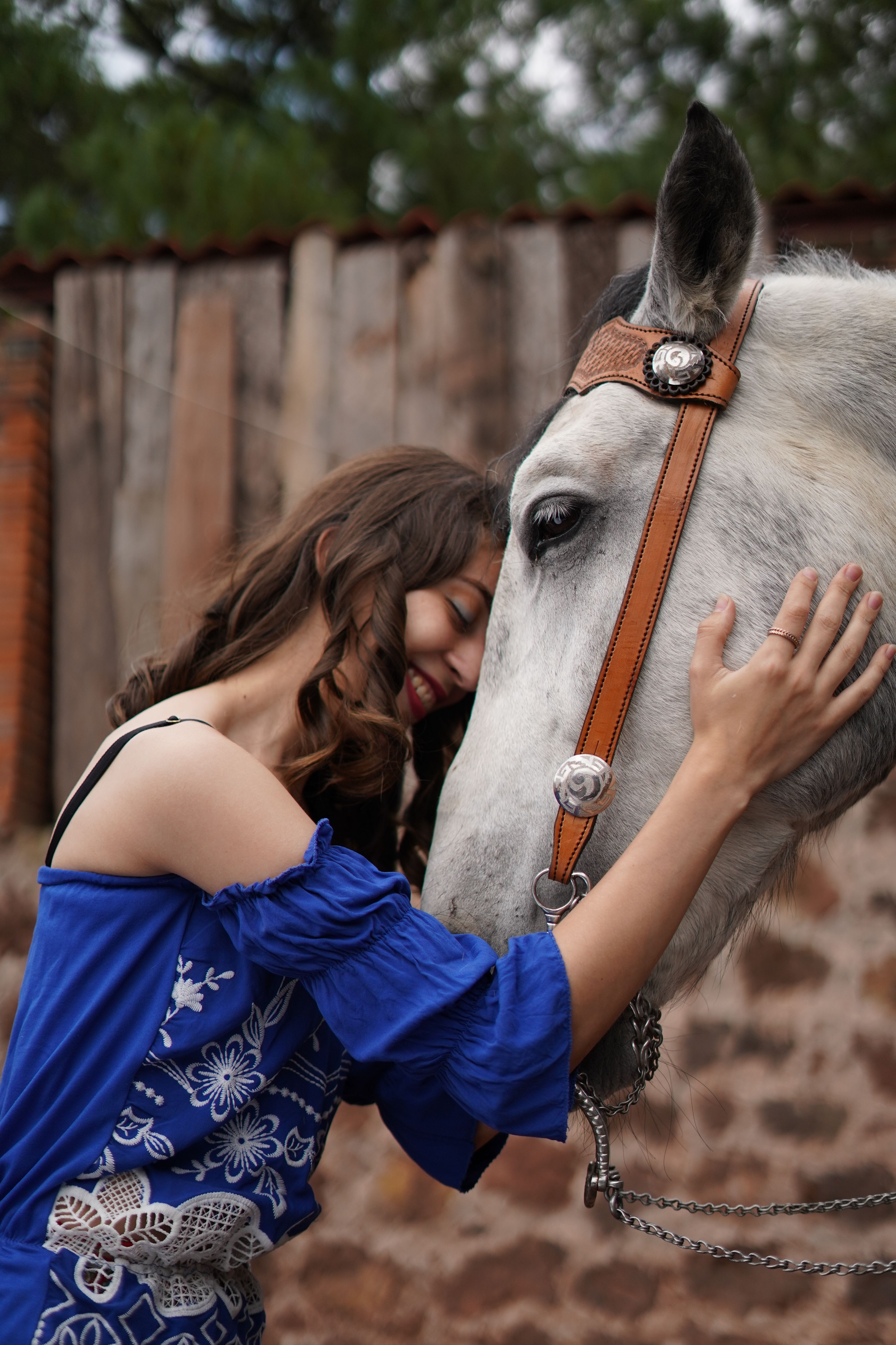 A woman in a blue dress is petting a horse  Free Stock Photo