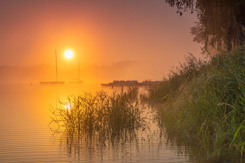 Starting the day with natural light exposure sets a powerful tone for your circadian rhythm.