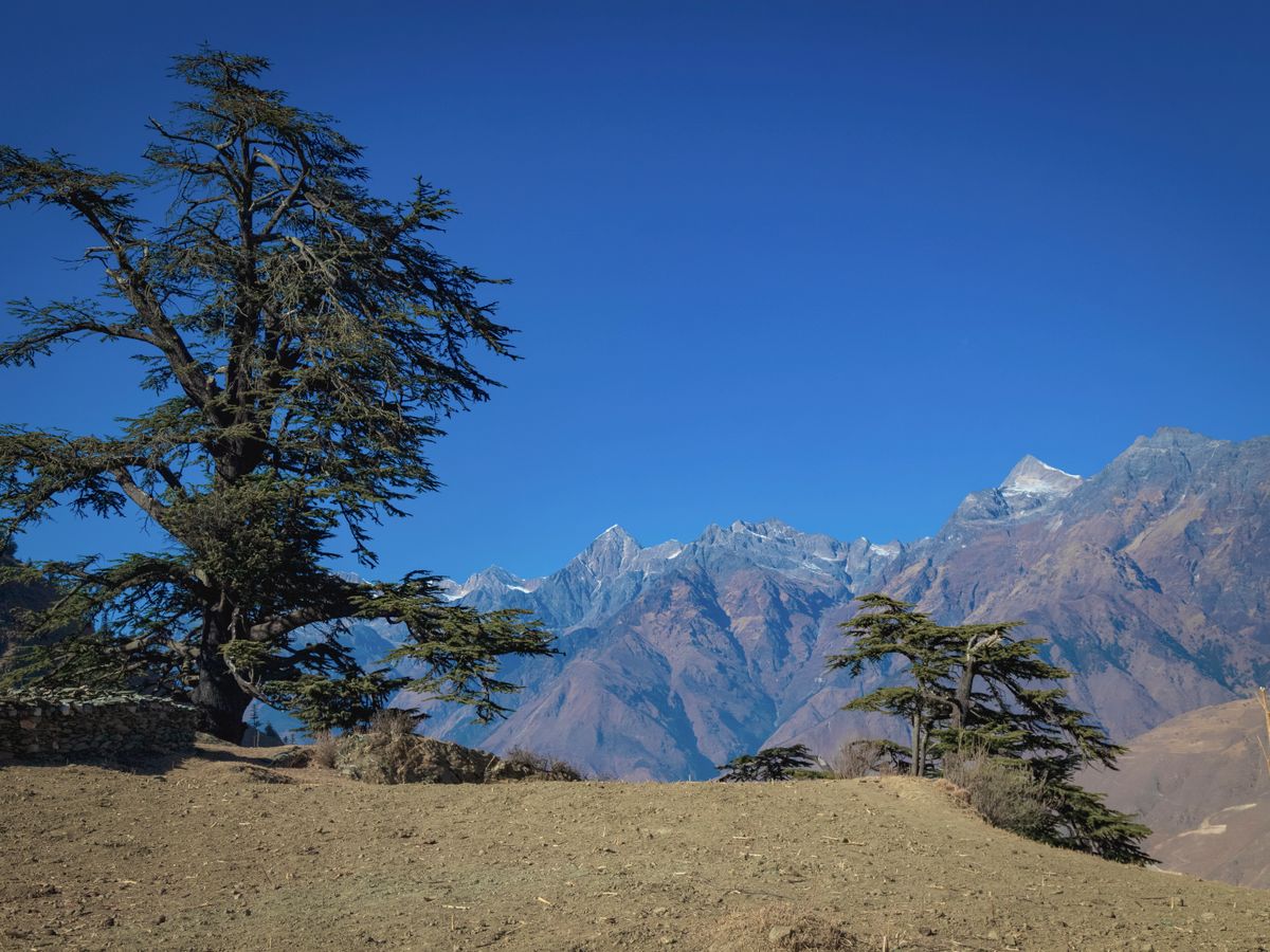 29 Day Yoga & Meditation Spiritual Awakening Retreat in Nepal 2