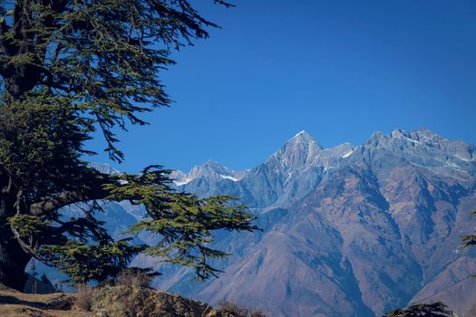 Breathtaking view of the Himalayan mountains with a foreground of evergreen trees in Nepal.