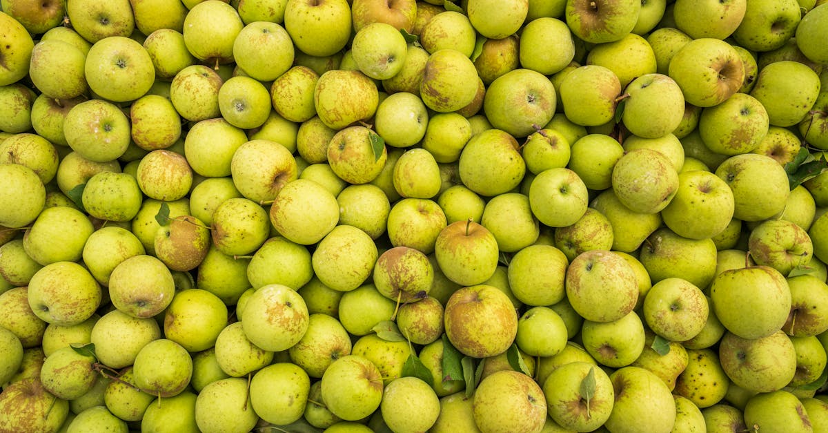 財經:你該知道的蘋果庫克訪華背後的商業考量與挑戰