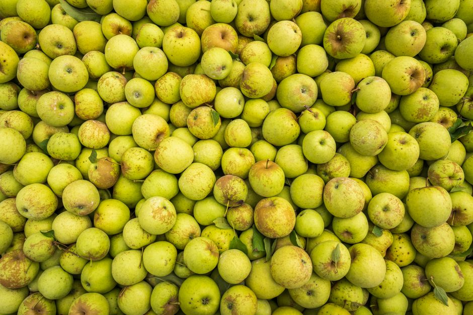 Top view of a large collection of fresh green apples, perfect for food and agriculture themes.