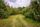 apple orchard