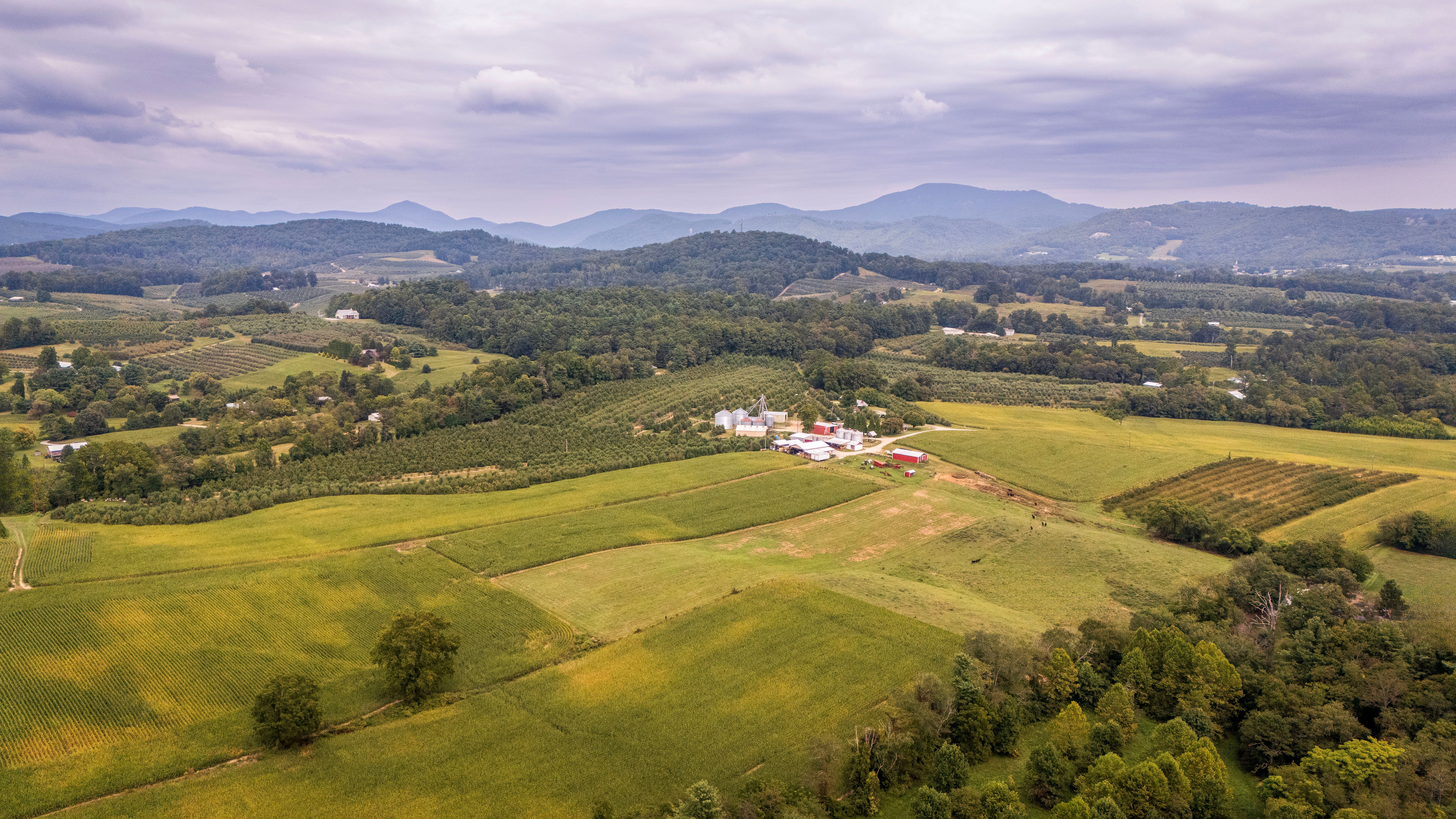 Discover North Carolina's Museum of Antique Sewing Machines and Looms
