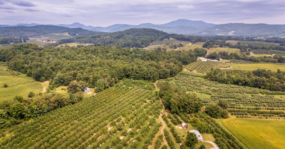 Scenic aerial view of lush farmland and rolling mountains in North Carolina, USA.