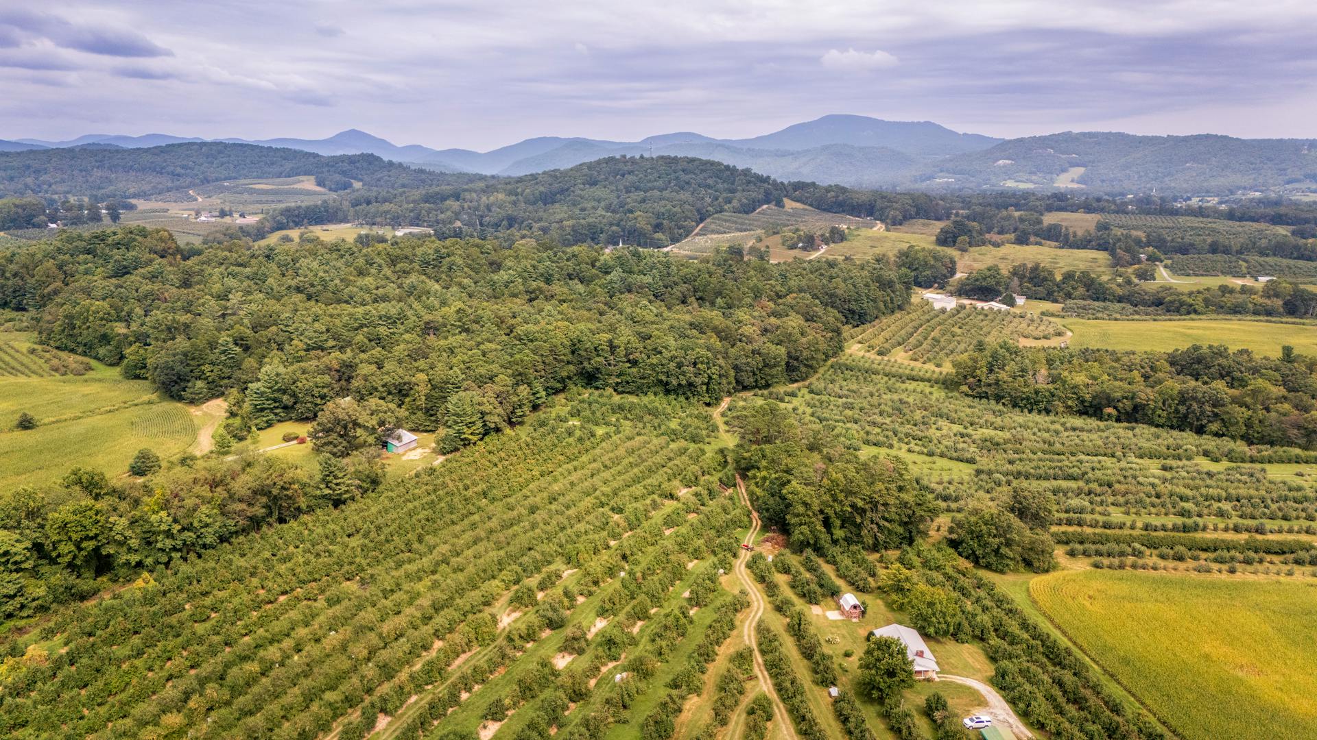 Scenic aerial view of lush farmland and rolling mountains in North Carolina, USA.