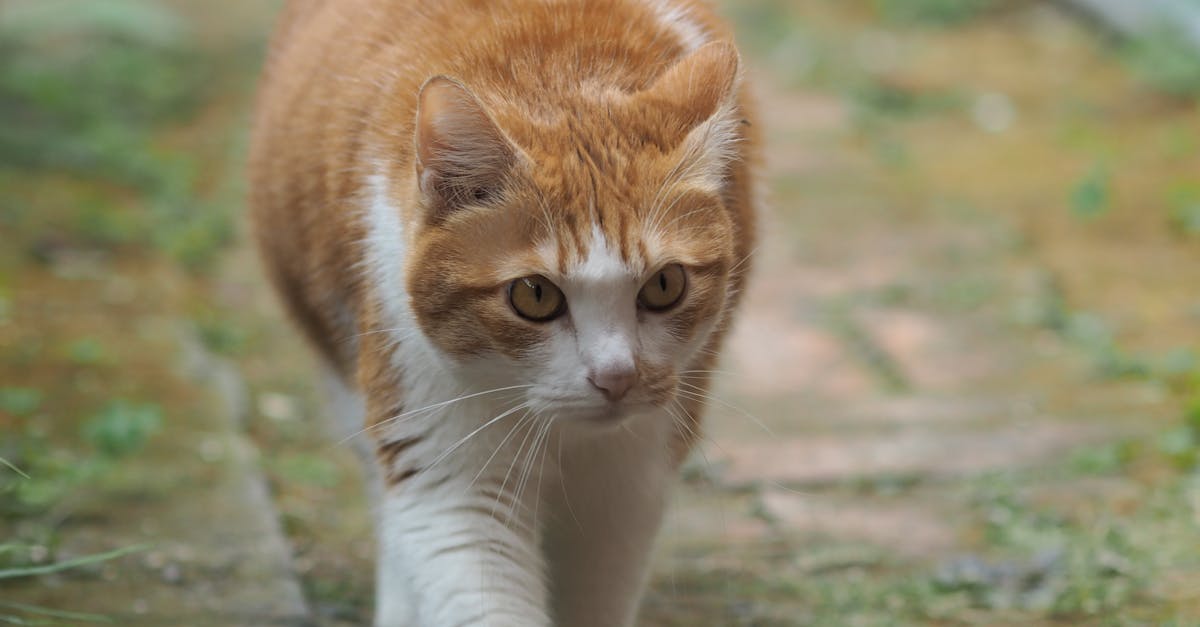 一晚慘賠2.2億!台彩停賣「1彩券」原因太真實 😱💸