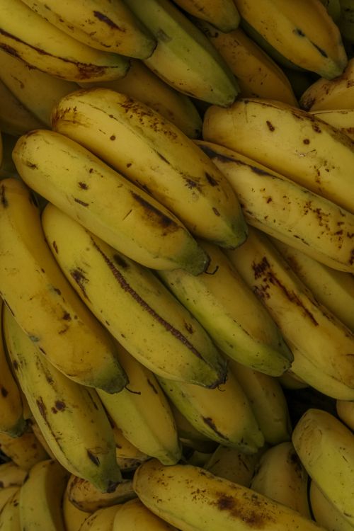 Free Close-up view of bunches of ripe yellow bananas, highlighting their natural texture. Stock Photo