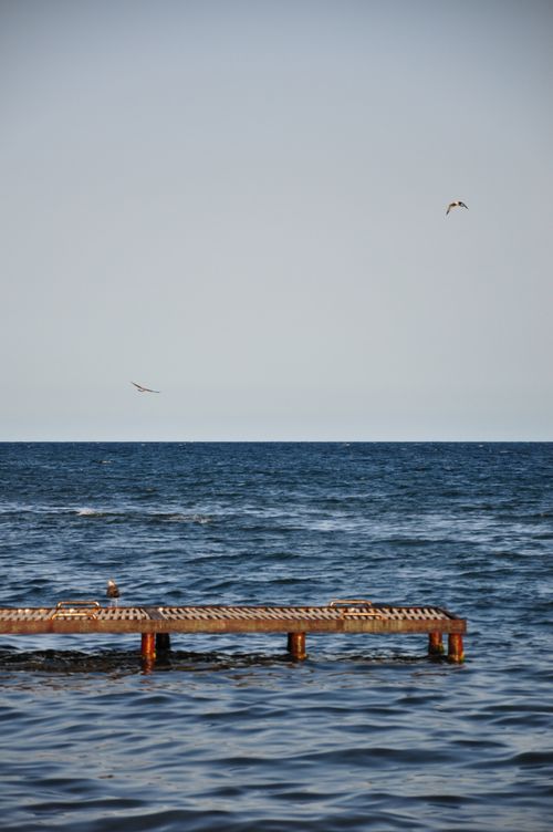 Free Calm ocean view with a wooden pier and seagulls flying overhead, evoking peace and serenity. Stock Photo