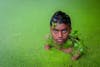 Free stock photo of asian child, bangladesh, childhood Stock Photo