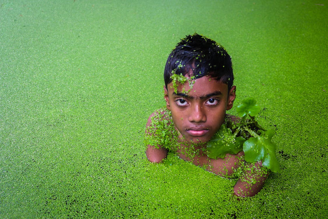 Free stock photo of asian child, bangladesh, green Stock Photo